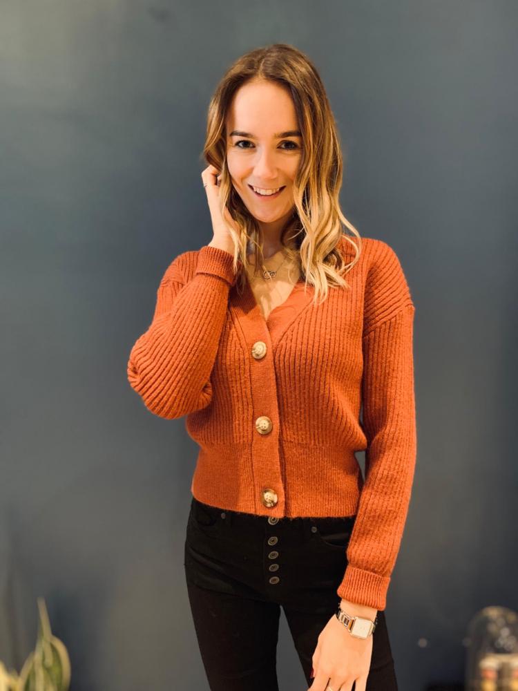 Gilets Gilet Alec terracotta